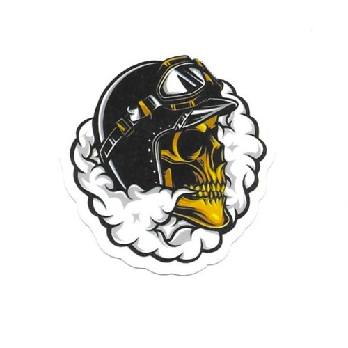 Biker skull vintage helmet - skull,