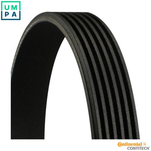 Vribbed belt 6pk2360 for - belt,